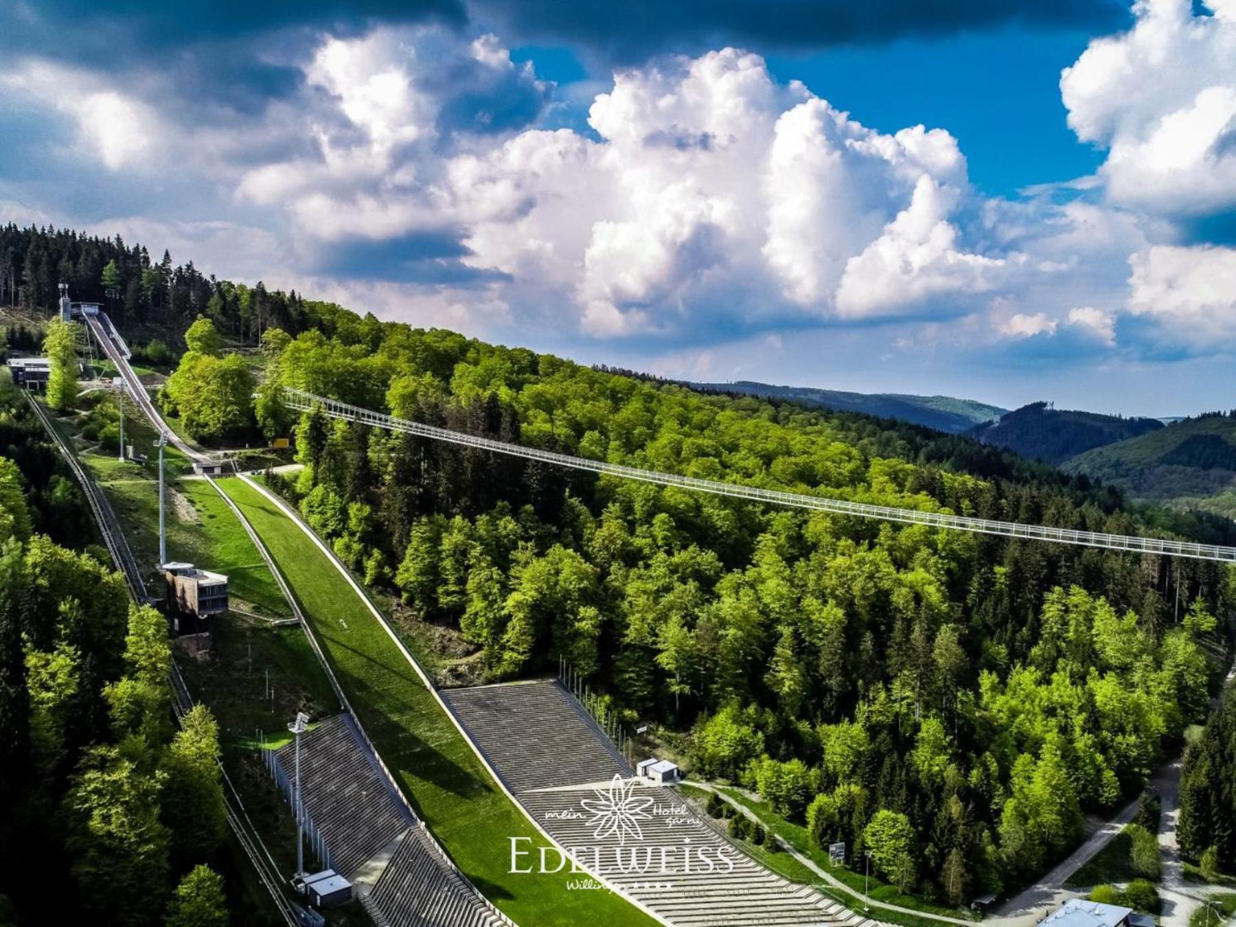 Hotel & Ferienappartements Edelweiss Willingen  Extérieur photo